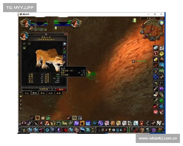 魔兽世界怀旧服：宠物技能快速升级攻略